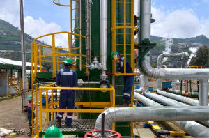 Read more about the article Peran Perusahaan Pengadaan Barang dan Jasa dalam Kelancaran Proyek Anda 